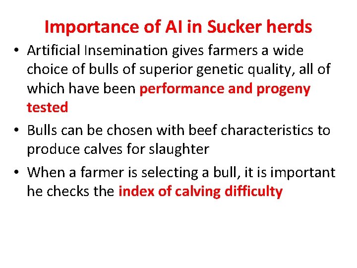 Importance of AI in Sucker herds • Artificial Insemination gives farmers a wide choice