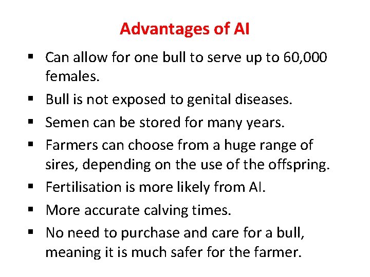 Advantages of AI § Can allow for one bull to serve up to 60,