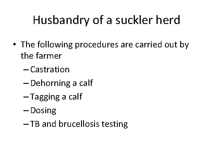 Husbandry of a suckler herd • The following procedures are carried out by the