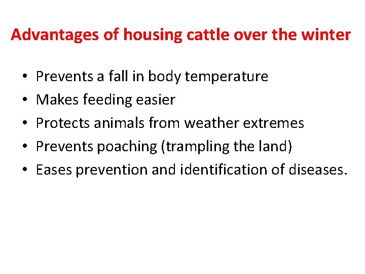 Advantages of housing cattle over the winter • • • Prevents a fall in