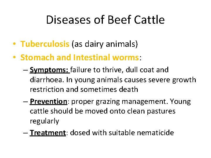 Diseases of Beef Cattle • Tuberculosis (as dairy animals) • Stomach and Intestinal worms: