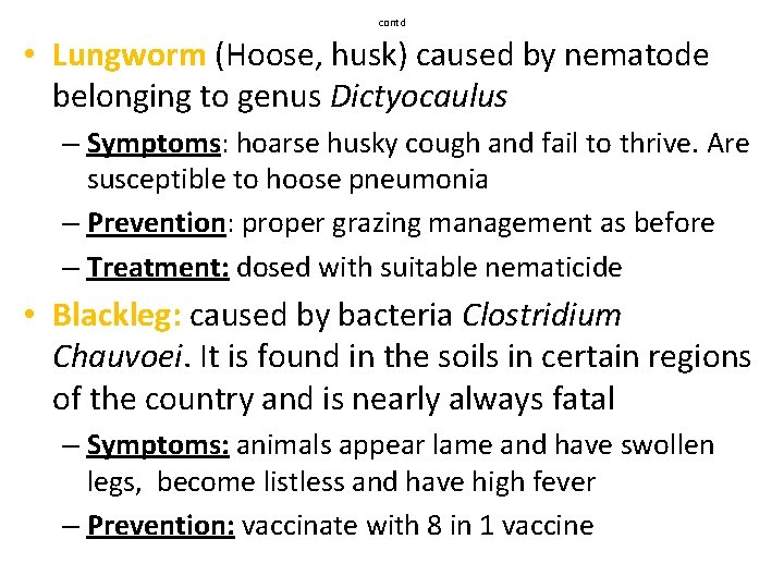 contd • Lungworm (Hoose, husk) caused by nematode belonging to genus Dictyocaulus – Symptoms:
