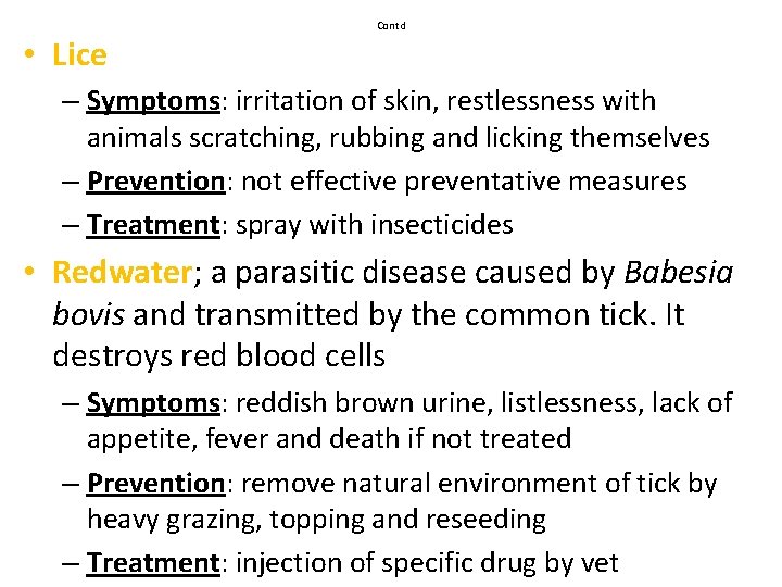  • Lice Contd – Symptoms: irritation of skin, restlessness with animals scratching, rubbing
