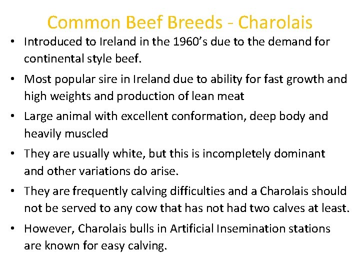 Common Beef Breeds - Charolais • Introduced to Ireland in the 1960’s due to