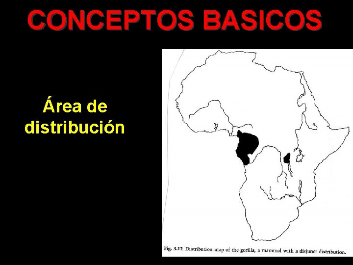 CONCEPTOS BASICOS Área de distribución 