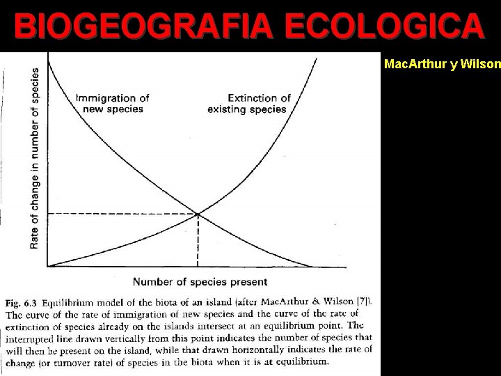 BIOGEOGRAFIA ECOLOGICA Mac. Arthur y Wilson 