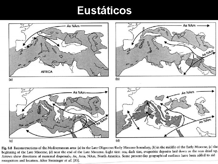 Eustáticos 