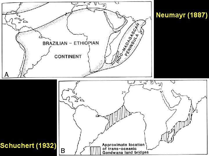 Neumayr (1887) Schuchert (1932) 