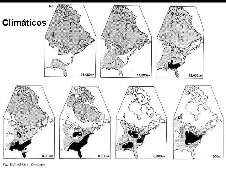 Climáticos 