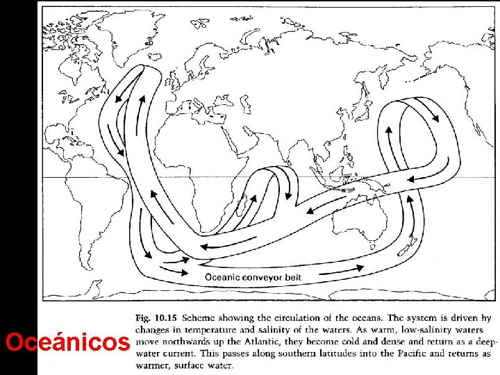 Oceánicos 