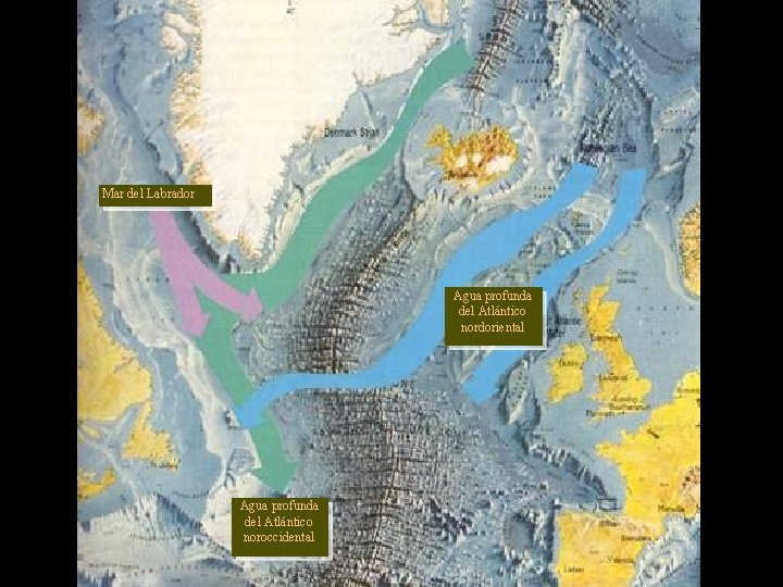 Mar del Labrador Agua profunda del Atlántico nordoriental Agua profunda del Atlántico noroccidental 