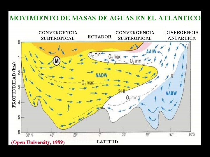 MOVIMIENTO DE MASAS DE AGUAS EN EL ATLANTICO CONVERGENCIA ECUADOR SUBTROPICAL PROFUNDIDAD (km) CONVERGENCIA