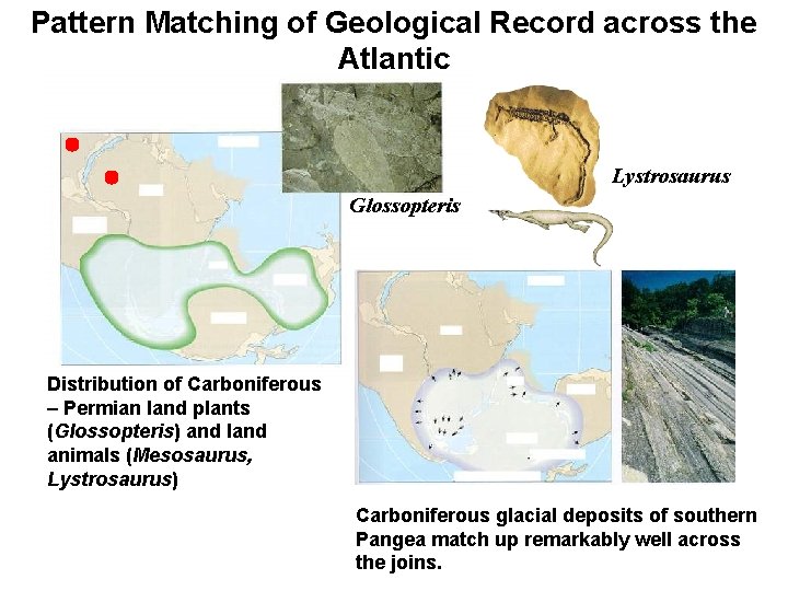 Pattern Matching of Geological Record across the Atlantic Lystrosaurus Glossopteris Distribution of Carboniferous –