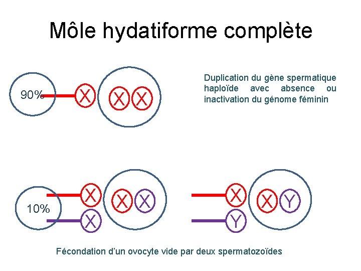 Môle hydatiforme complète 90% 10% X X X X Duplication du gène spermatique haploïde
