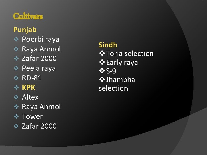 Cultivars Punjab v Poorbi raya v Raya Anmol v Zafar 2000 v Peela raya