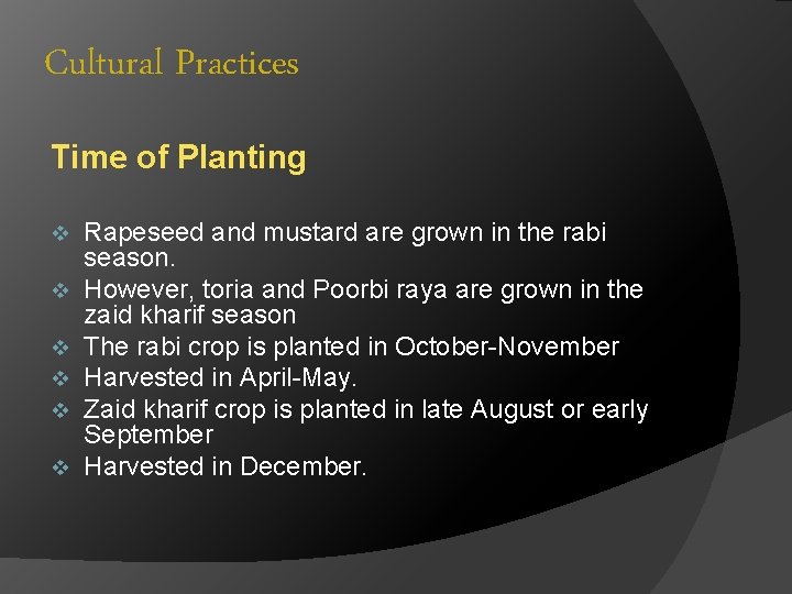 Cultural Practices Time of Planting v v v Rapeseed and mustard are grown in