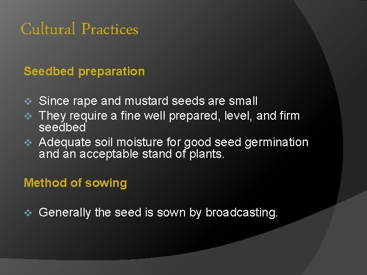 Cultural Practices Seedbed preparation Since rape and mustard seeds are small They require a