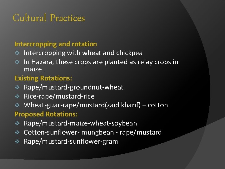 Cultural Practices Intercropping and rotation v Intercropping with wheat and chickpea v In Hazara,