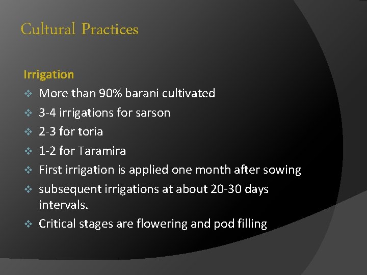 Cultural Practices Irrigation v More than 90% barani cultivated v 3 -4 irrigations for