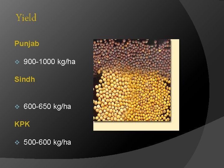 Yield Punjab v 900 -1000 kg/ha Sindh v 600 -650 kg/ha KPK v 500