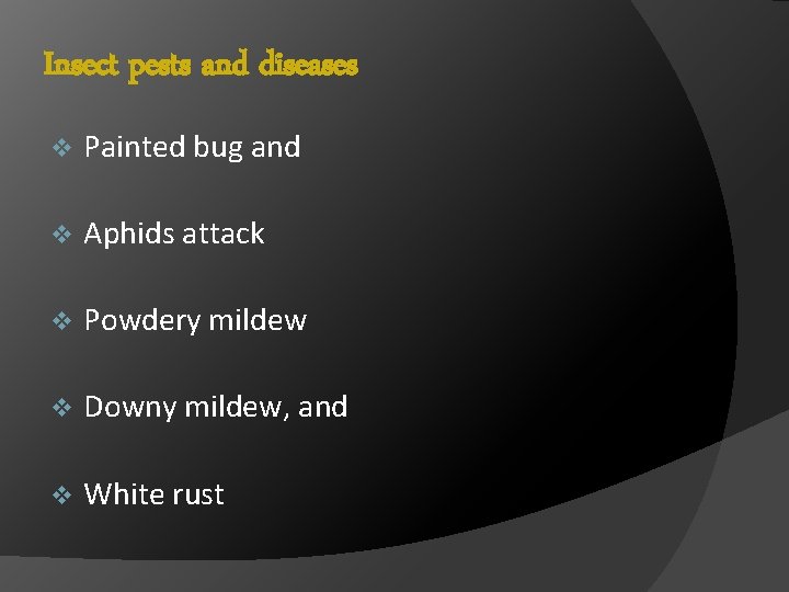 Insect pests and diseases v Painted bug and v Aphids attack v Powdery mildew