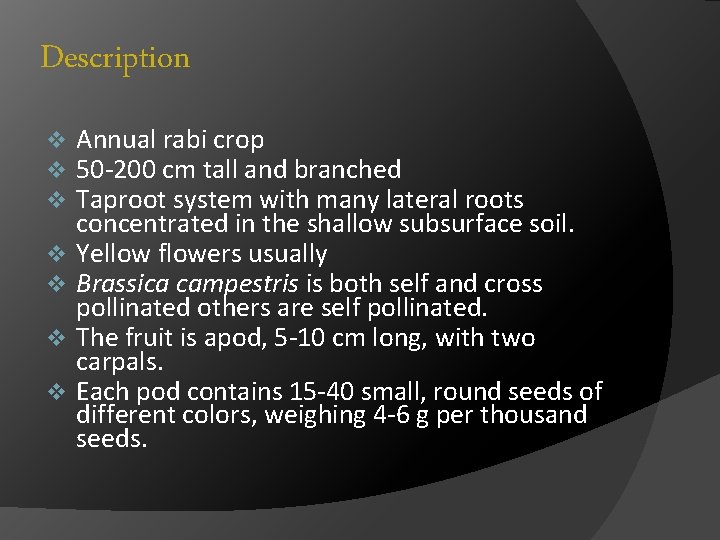 Description v v v v Annual rabi crop 50 -200 cm tall and branched