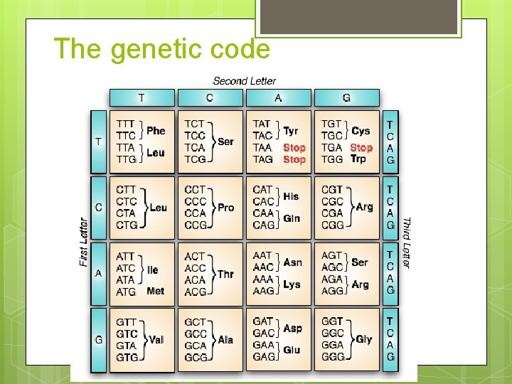 The genetic code 