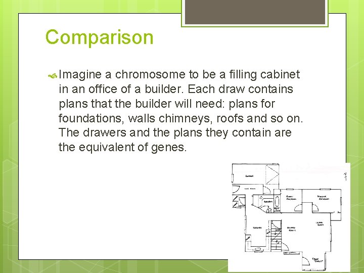 Comparison Imagine a chromosome to be a filling cabinet in an office of a