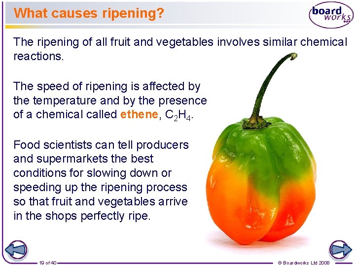 What causes ripening? The ripening of all fruit and vegetables involves similar chemical reactions.
