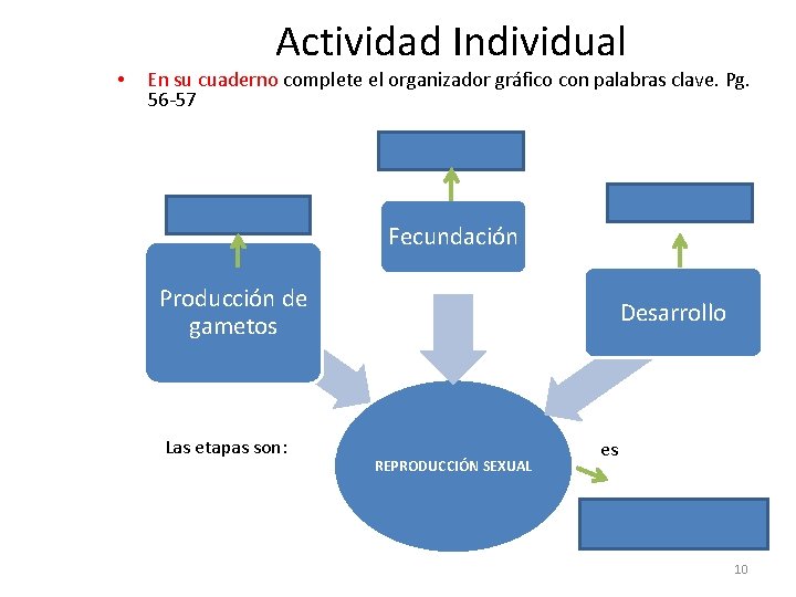  • Actividad Individual En su cuaderno complete el organizador gráfico con palabras clave.