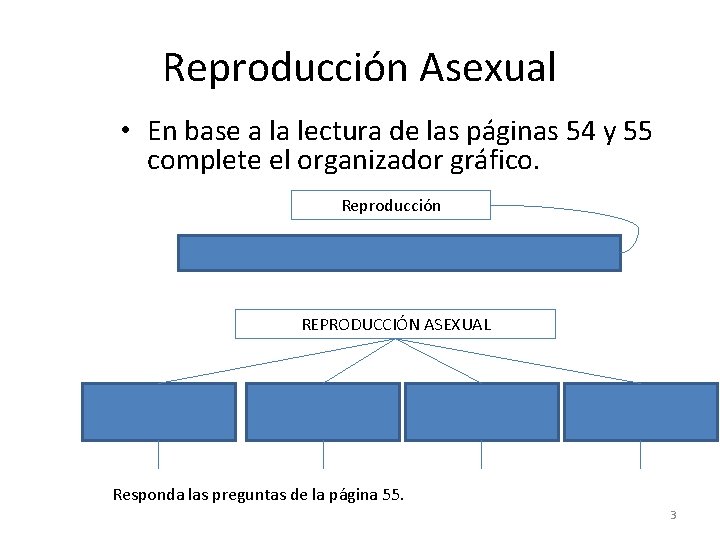 Reproducción Asexual • En base a la lectura de las páginas 54 y 55