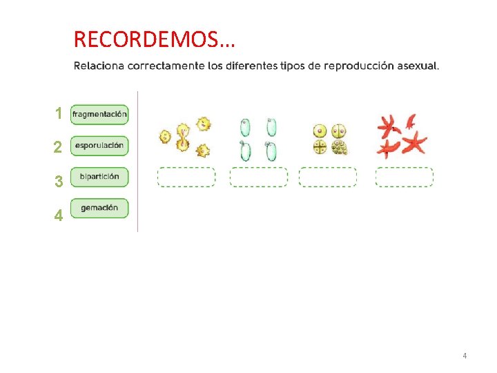 RECORDEMOS… 1 2 3 4 4 