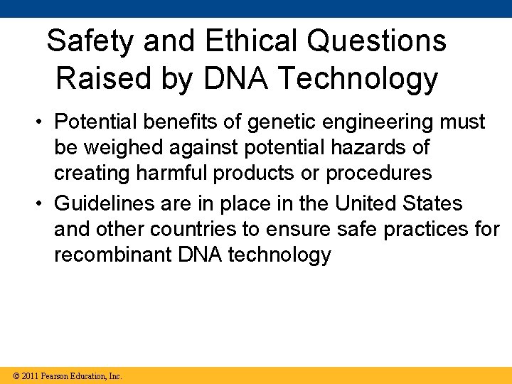 Safety and Ethical Questions Raised by DNA Technology • Potential benefits of genetic engineering