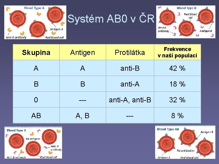 Systém AB 0 v ČR Skupina Antigen Protilátka Frekvence v naší populaci A A