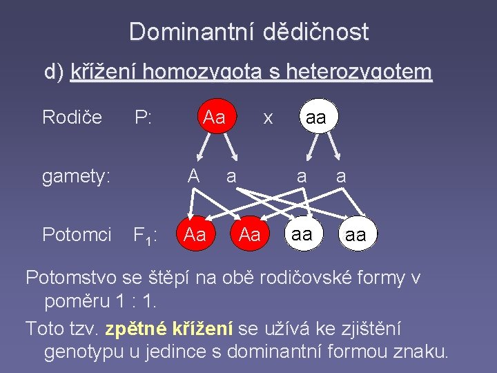 Dominantní dědičnost d) křížení homozygota s heterozygotem Rodiče P: Aa x aa gamety: A