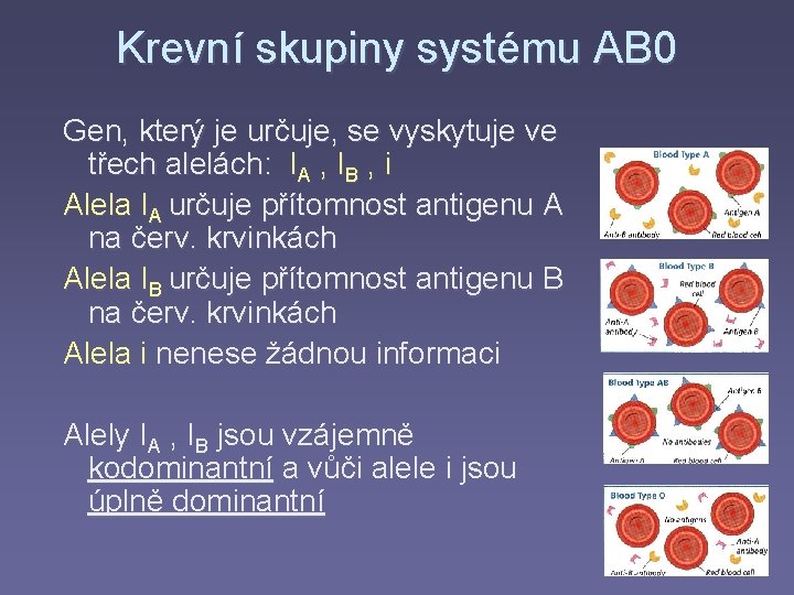 Krevní skupiny systému AB 0 Gen, který je určuje, se vyskytuje ve třech alelách: