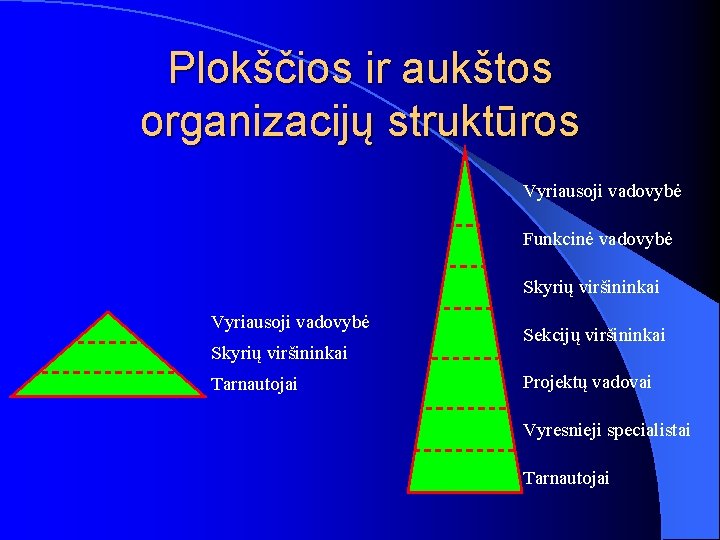 Plokščios ir aukštos organizacijų struktūros Vyriausoji vadovybė Funkcinė vadovybė Skyrių viršininkai Vyriausoji vadovybė Skyrių