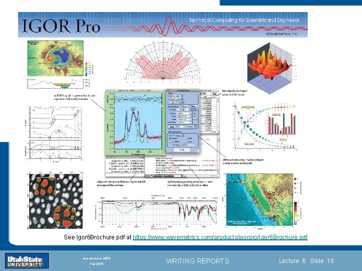 Introduction Section 0 Lecture 1 Slide 19 INTRODUCTION TO Modern Physics PHYX 2710 Fall