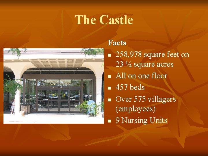 The Castle Facts n 258, 978 square feet on 23 ½ square acres n