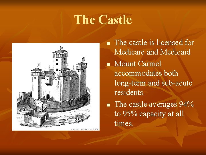 The Castle n n n The castle is licensed for Medicare and Medicaid Mount