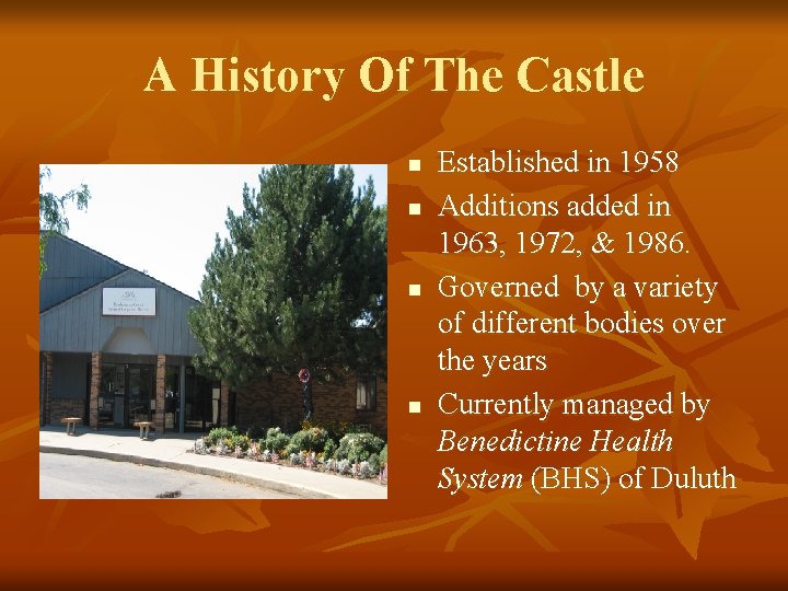 A History Of The Castle n n Established in 1958 Additions added in 1963,