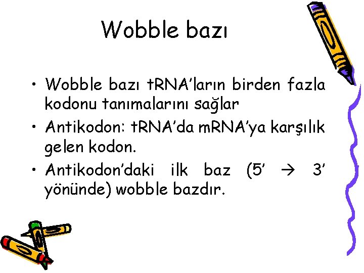 Wobble bazı • Wobble bazı t. RNA’ların birden fazla kodonu tanımalarını sağlar • Antikodon: