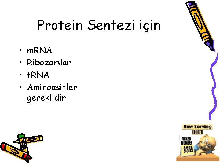 Protein Sentezi için • • m. RNA Ribozomlar t. RNA Aminoasitler gereklidir 