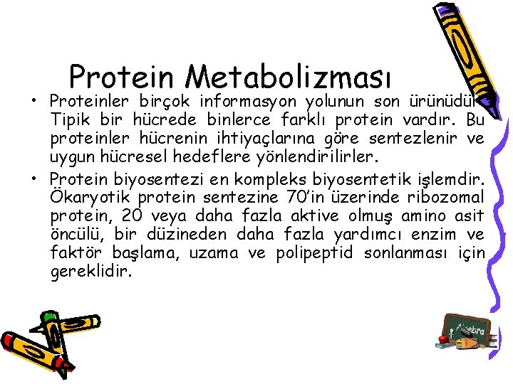 Protein Metabolizması • Proteinler birçok informasyon yolunun son ürünüdür. Tipik bir hücrede binlerce farklı