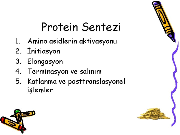 Protein Sentezi 1. 2. 3. 4. 5. Amino asidlerin aktivasyonu İnitiasyon Elongasyon Terminasyon ve