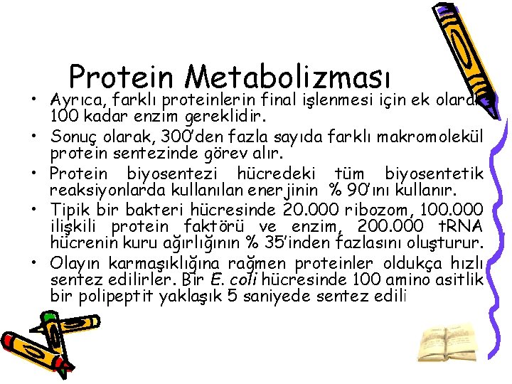 Protein Metabolizması • Ayrıca, farklı proteinlerin final işlenmesi için ek olarak 100 kadar enzim