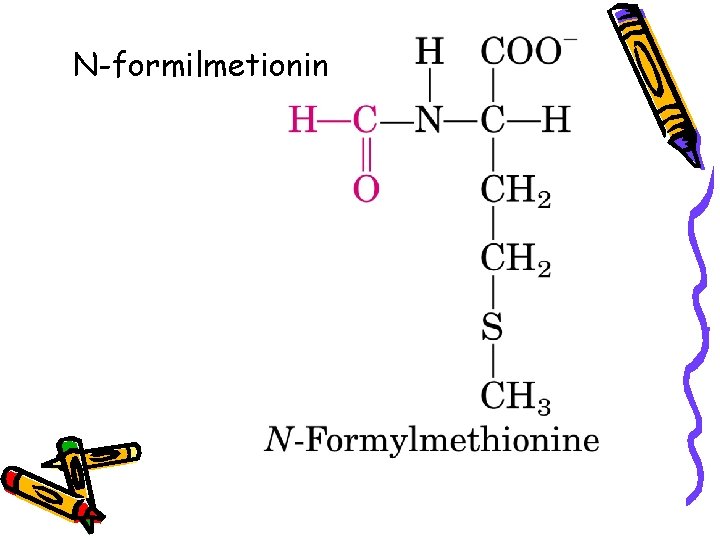 N-formilmetionin 