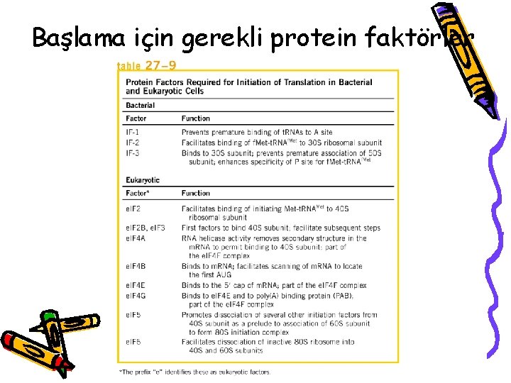 Başlama için gerekli protein faktörler 