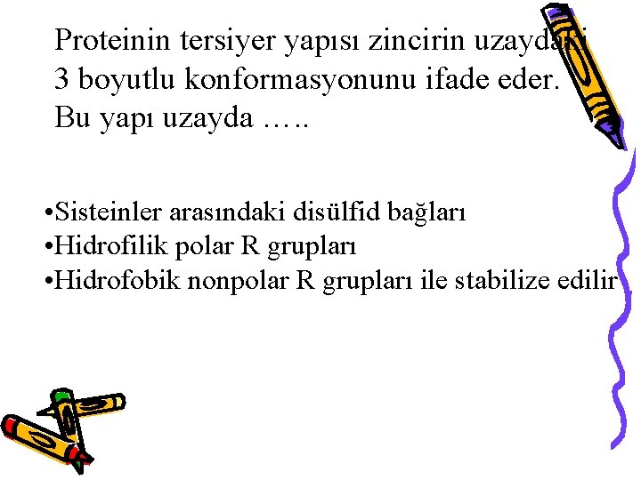 Proteinin tersiyer yapısı zincirin uzaydaki 3 boyutlu konformasyonunu ifade eder. Bu yapı uzayda ….