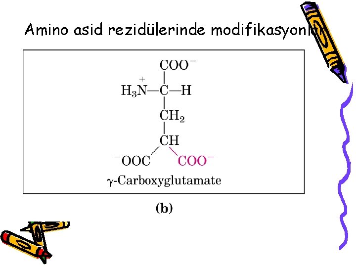 Amino asid rezidülerinde modifikasyonlar 